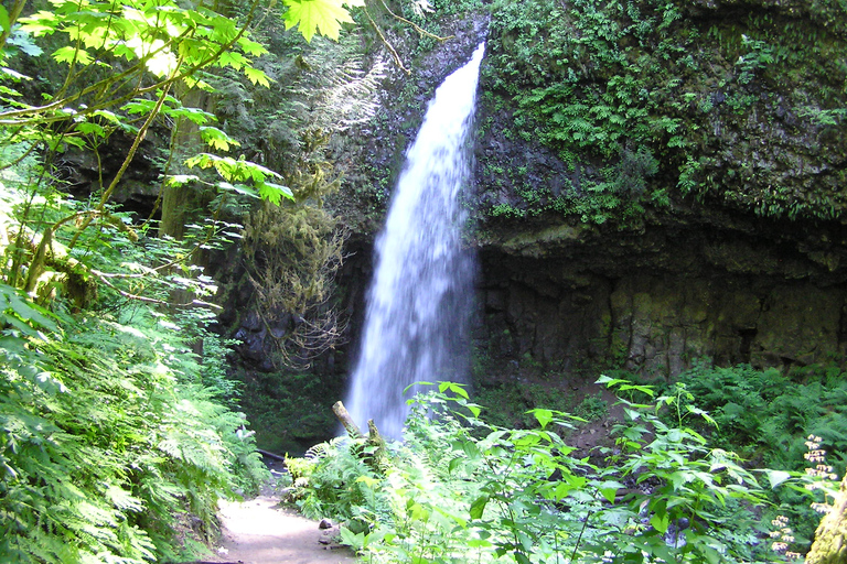 Gorge Explorer - Multnomah Falls & Beyond - PDX08 Gorge Explorer - PDX08AM - Western AAAM