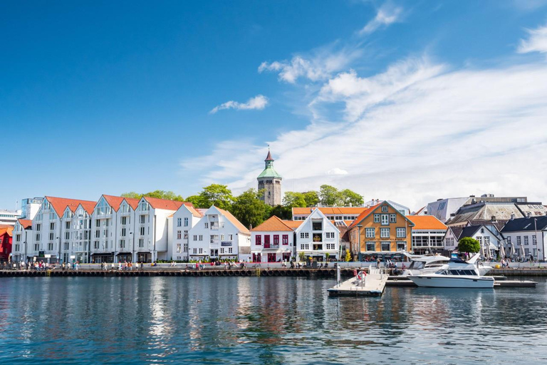 Excursão de minibus ao Lysefjord e safari de lancha opcionalPasseio de minibus pelo Lysefjord