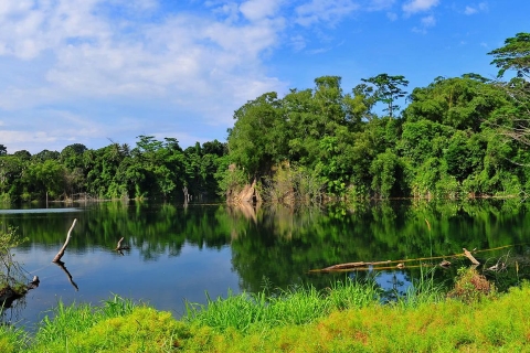 Vanuit Iquitos: 4 dagen/3 nachten in lodge in het Amazonegebied met maaltijden