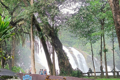 Chiang Mai: Mae Ya Waterfall & Pha Dok Siew Trail Trek Small Group Tour With Meeting Point Pickup