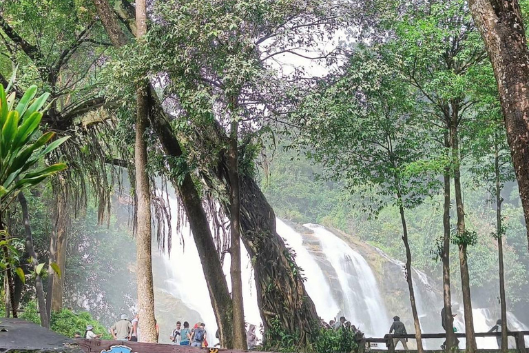 Chiang Mai: Cascada de Mae Ya y Senda de Pha Dok SiewTour privado con servicio de recogida del hotel