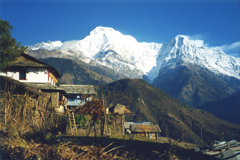 Pokhara: 3-Day Australian Camp, Dhampus, Ghandruk Trek

…