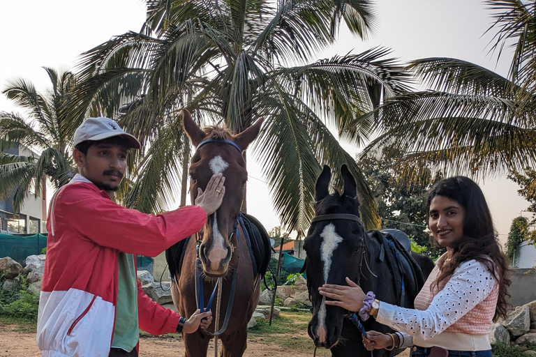 Bangalore: Horse Riding Safari Tour