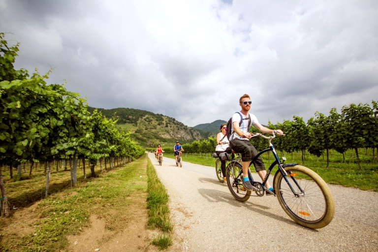 Grape Grazing: Wachau Valley Winery Biking Tour Grape Grazing : Wachau Valley Winery Bike Tour