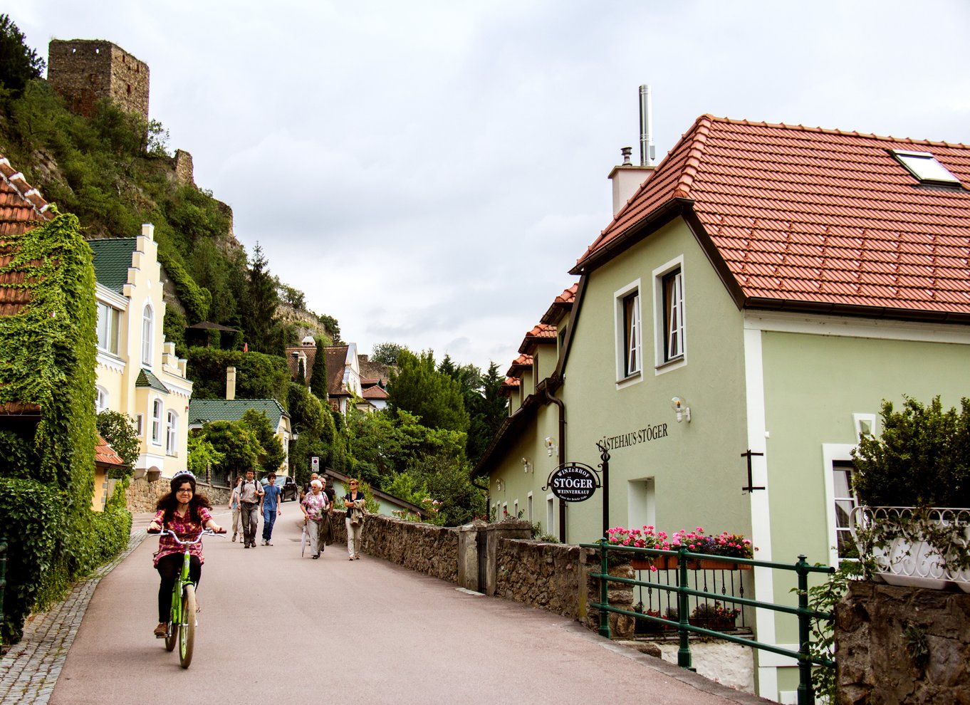 Græsning af druer: Cykeltur til vingård i Wachau-dalen