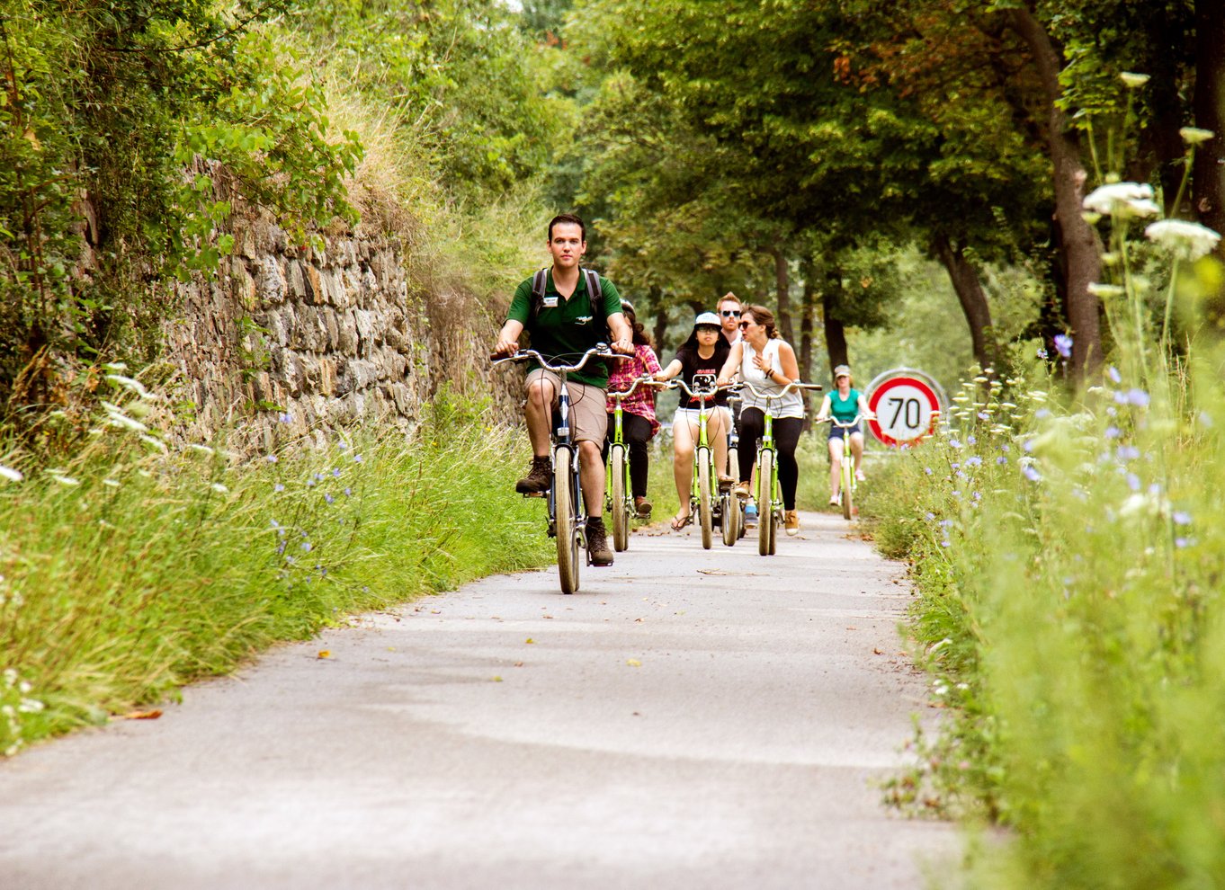 Græsning af druer: Cykeltur til vingård i Wachau-dalen