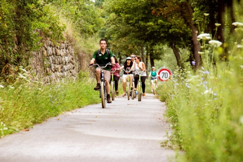 Wycieczka rowerowa po Wachau – Naddunajskiej dolinie winaWycieczka rowerowa po Wachau Naddunajskiej Dolinie Wina