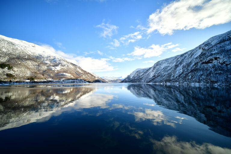 Abisko: Fjord Sightseeing and Photography Tour