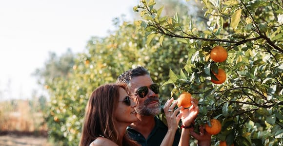 Taste of the Algarve: Oranges, Local Sweets & Wine Tasting