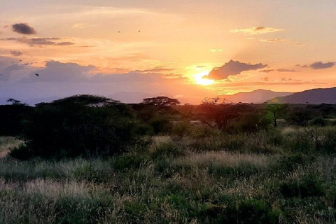 Nairobi: 3-Day Samburu National Reserve Safari Tour