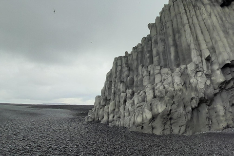 Reykjavik: Excursão particular à costa sul e à gruta de gelo de Katla