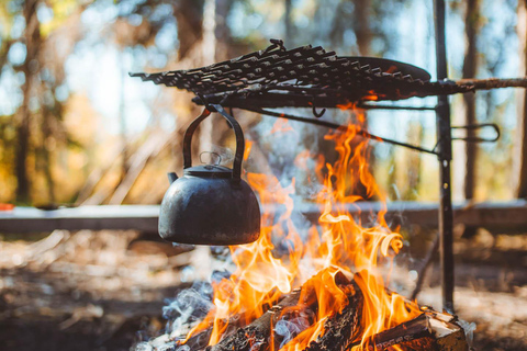 Rovaniemi: Guided tour in Arctic Circle Trekking area