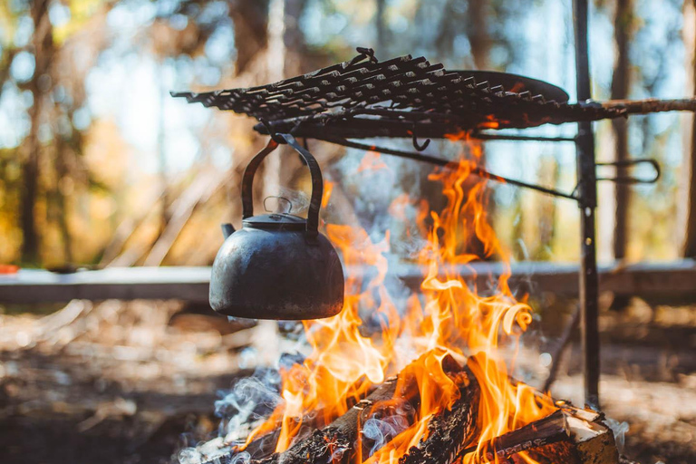 Rovaniemi: Guided tour in Arctic Circle Trekking area