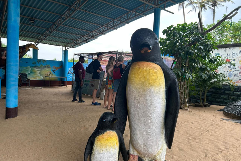 From Colombo/Negombo: Turtle Hatchery, Madu River & Galle