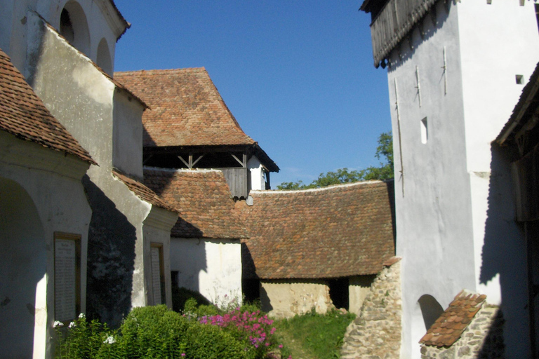 Brasov: Saxon Fortified Churches Day Tour with Guide