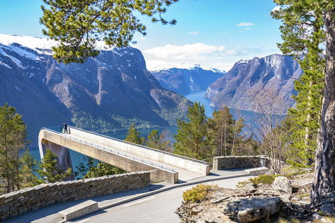 Tour privato di 2 giorni con treno per Flåm, Hardagerfjord e crociera