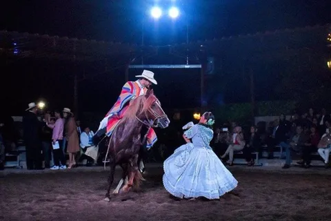 Lima: Almoço buffet, espetáculo de dança | Cavalos de Paso Peruanos |