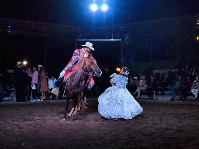 Lima: Buffet Lunch, dance show | Peruvian Paso Horses |