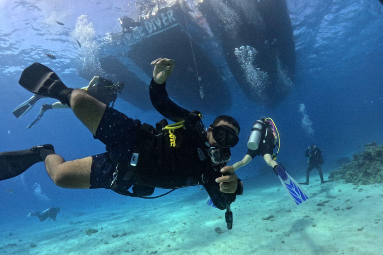 Intro Diving Débutant et découverte de la mer rouge sous l&#039;eau