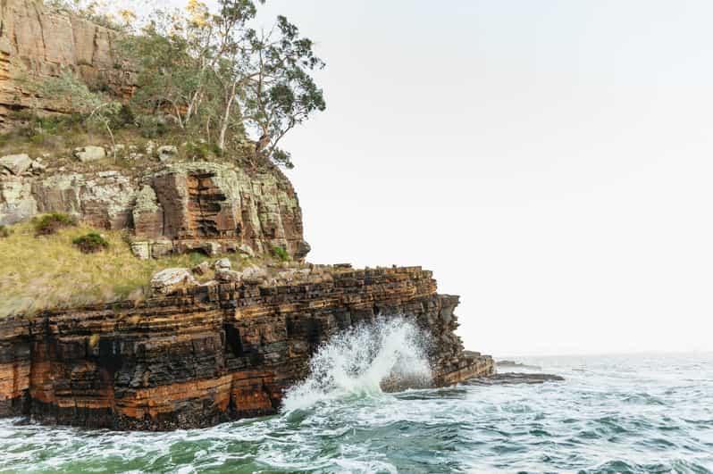 Hobart 2.5hour Iron Pot Lighthouse Cruise GetYourGuide