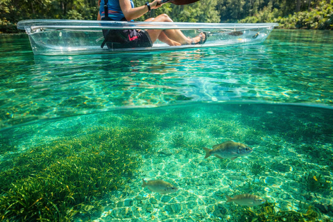Rainbow River: Clear Kayak Snorkel and Springs Guided Tour