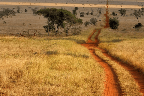 Kenya - Land Rundvandringar, dagsutflykter och guidad kryssning