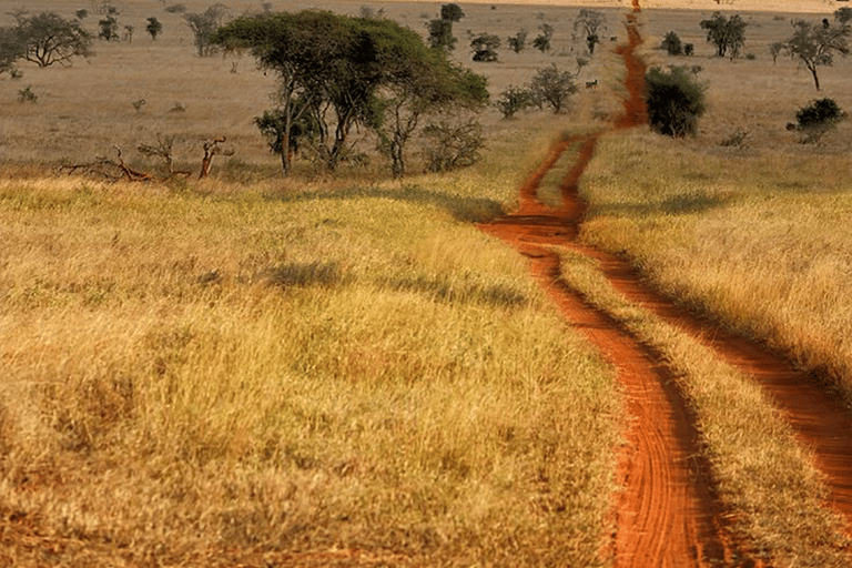 Kenya - Land Rundvandringar, dagsutflykter och guidad kryssning