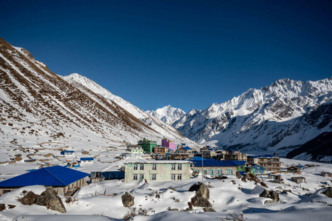 Gepäckträger für Langtang-TrekLangtang-Träger