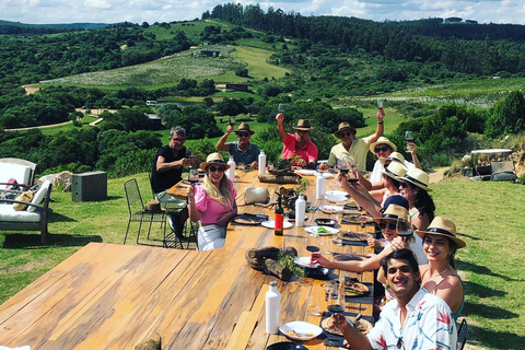 Hidden Vineyard for Lunch off the beaten track!Secret Vineyard for Lunch off the beaten track!