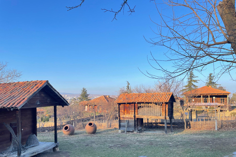 تبليسي: 12 منطقة في جورجيا - جولة مع خدمة النقل ذهابًا وإيابًا