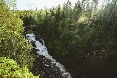 Rovaniemi : Randonnée et barbecue aux chutes d'eau d'Auttiköngäs