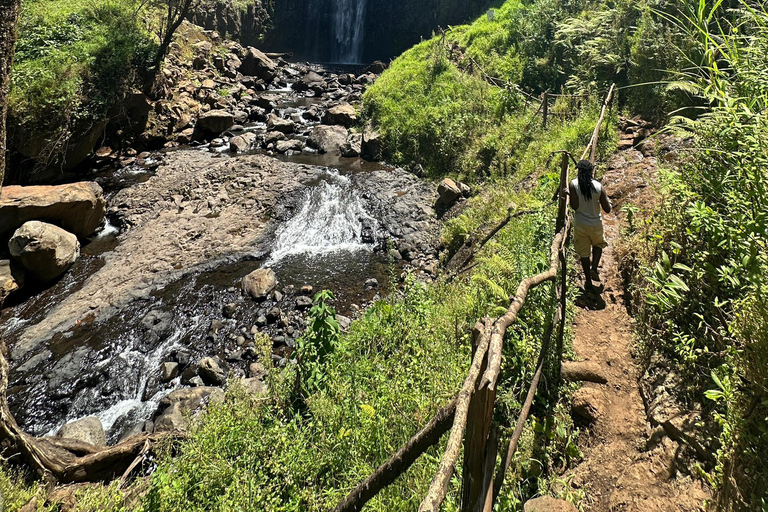 Moshi/Arusha: Chemka Hot Springs Materuni Waterfall Day tour 2 in 1 : Materuni & Chemka tour from Moshi