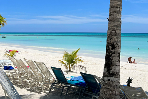 Punta Cana: eilanduitstap naar Catalina • snorkelen en lunchenPunta Cana: eilanduitje naar Catalina • snorkelen en lunchen