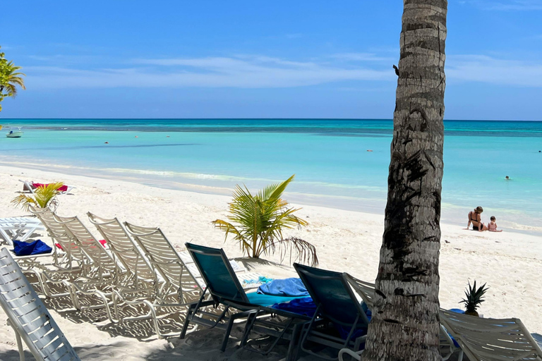 Punta Cana: Dive the Coral Paradise of Catalina Island