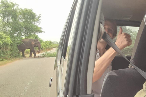 Udawalawe safari med tush, upphämtning från Ella och avlämning i Mirissa