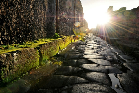 Round-Trip Limousine Transfers from Rome to Pompeii