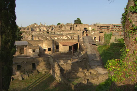 Round-Trip Limousine Transfers from Rome to Pompeii