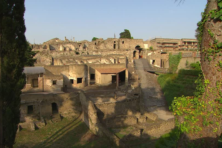 De ida y vuelta de limusina Traslados desde Roma a Pompeya