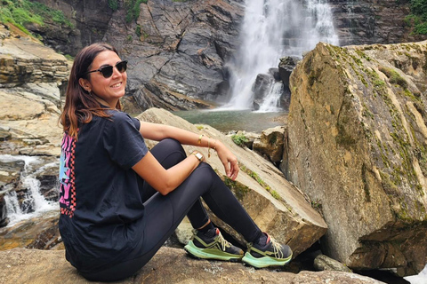 Colombo to Nuwara Eliya Transfer with Tea Factory Visit