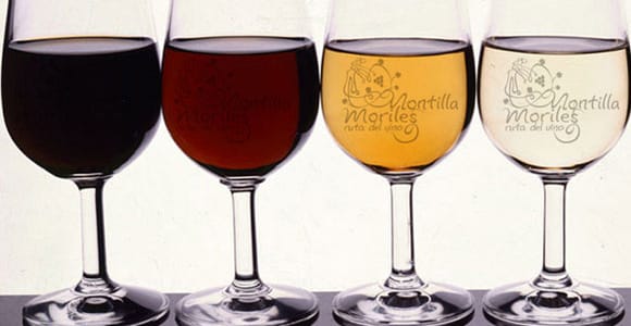 Wine Tasting and local tapas delight in Cordoba