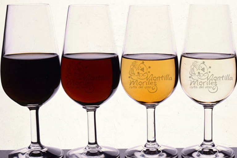 Degustação de vinhos de Montilla-MorilesDegustação privada de vinhos de Montilla-Moriles