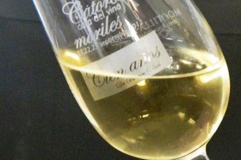 Degustação de vinhos de Montilla-MorilesDegustação privada de vinhos de Montilla-Moriles