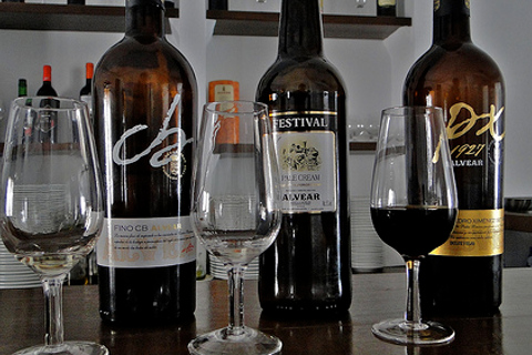 Degustação de vinhos de Montilla-MorilesDegustação privada de vinhos de Montilla-Moriles