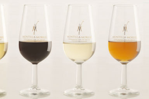 Degustação de vinhos de Montilla-MorilesDegustação privada de vinhos de Montilla-Moriles