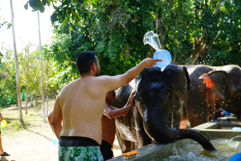Koh Samui: Halvdags etisk elefantreservat med lera-spaMötesplats vid Samui Elephant Spa (ingen transfer från hotellet)