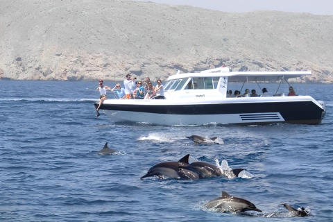 Dolfijnen kijken in Muscat