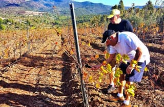 Tour del vino in Sardegna
