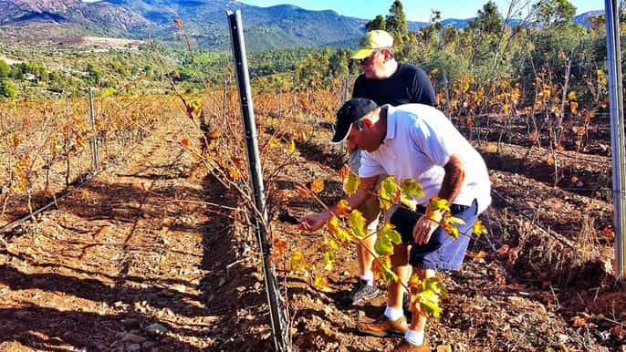 wine tour sardinia