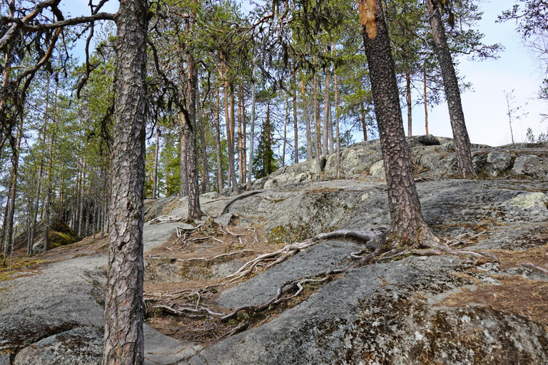 Rovaniemi: Sukulanrakka & Devil's Churns Tour