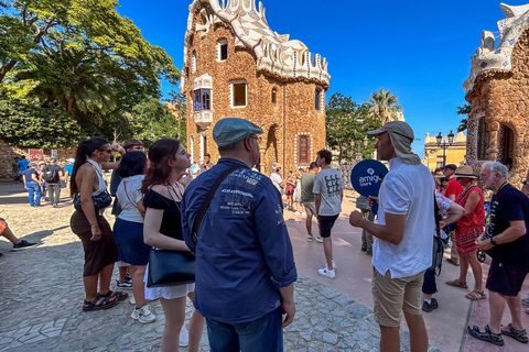 Barcelona: Park Güell Guided Tour with Skip the Line Ticket Spanish Tour